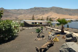 Canaryislandshost I Soco