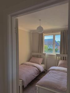 The Coastal Forest Retreat