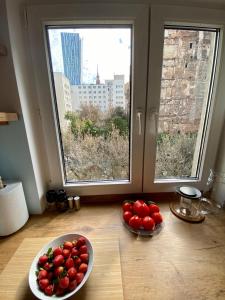 Warsaw Apartment Rentals