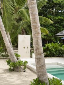 Luxury Beachfront Villa with Pool