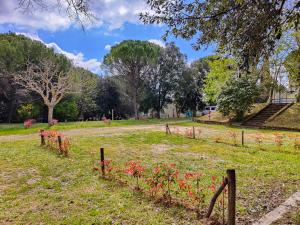 Camping Volterra