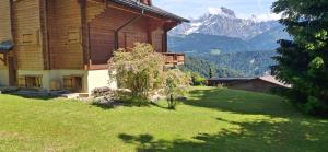 panormanic flat - large garden with shade & sun