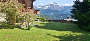 panormanic flat - large garden with shade & sun