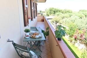 IzzHome Orange Tree img17