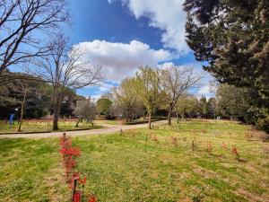 Camping Volterra
