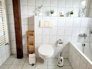 Ferienwohnung am Luisium - Natur und Bauhaus nah