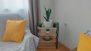 Angela Apartment