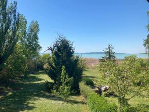La Perla Villa del Lago