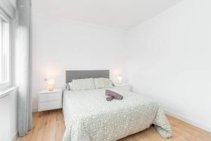 Apartamento La Salamandra