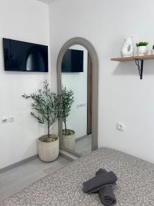 Apartment Leon Novi Sad