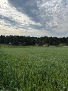 Malinka Domek z Balia