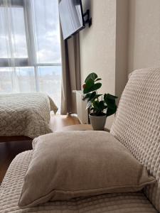 Cozy, new studio by the sea - Style and Comfort