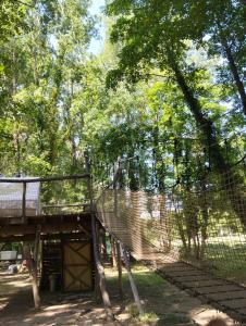 tente type yourth dans les bois proche animaux