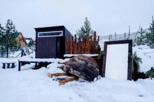 Swell Snow House