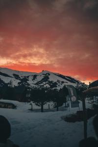 Swell Snow House