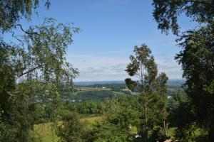 Private lodge on Dartmoor 8 rooms