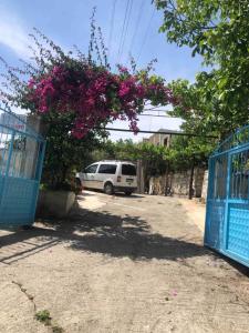 Uzeiri’s Houses