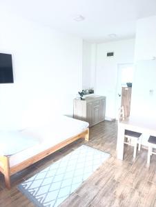 Apartmán v blízkosti města Štětí