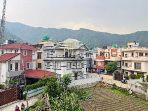 Mums Homestay & Apartment-A Real Homestay Experience