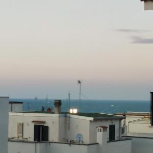 Tenuta Montincello in Paese