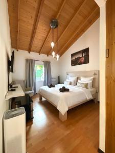 Swiss Chalet-Villa Best Base for Bern, Interlaken & Swiss Alps - Heated Swim Spa & Mountain Views