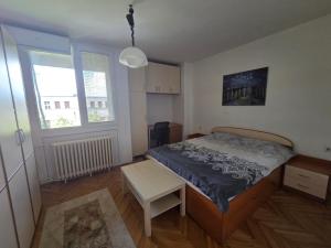 Center Luxury Apartment