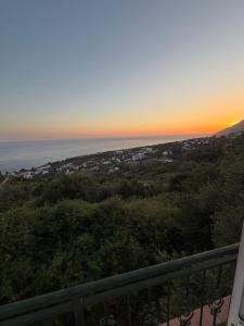 Dhoma Elena