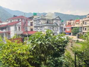 Mums Homestay & Apartment-A Real Homestay Experience