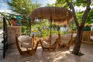 Aysel Inn House