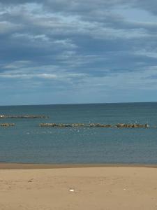 Occhi sul mare
