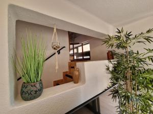 El Surf Apartamento 3 Dormitorios 2 baños