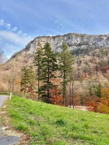 Swiss Chalet-Villa Best Base for Bern, Interlaken & Swiss Alps - Heated Swim Spa & Mountain Views