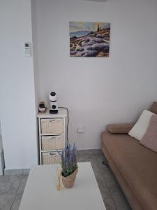 Apartment Gajac Zrće Novalja