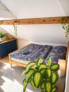 Old Farmhouse Loft near Vaduz