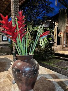 Arsa Wayan Guest House