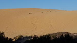 Dune Apartment img20