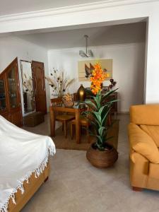 Apartamento Golfinho - Piscina e Praia