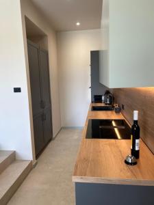 Suton u Zatonu - apartment with private pool