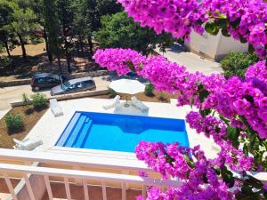 CC Vlad Center Novalja with Pool