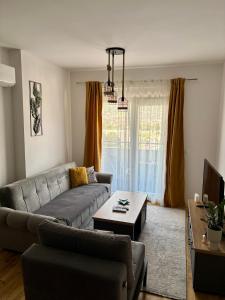 Montenegro Suite Rental