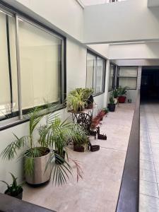 Hotel Qamiri