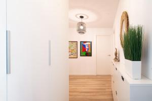 Beautiful central home Seasonal rental Dr Oloriz