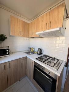 Cozy and Modern Apartment Ultracentral