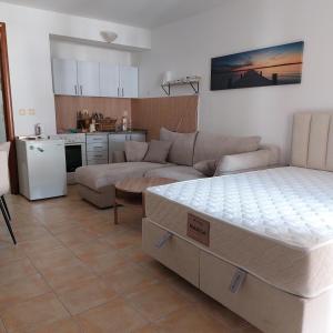 Garsonjera Budva