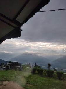 The Serene Acres, Farm & Stay