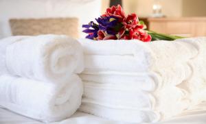 Basingstoke Apartments - Sherborne House, City Centre Victorian Apartments