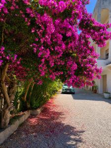 ApartAmare