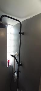 Loft, 60 Sqm indor with 60 Sqm balcony