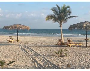 Hawana salalah Forest island L3-G01