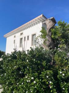Masseria SantEleuterio